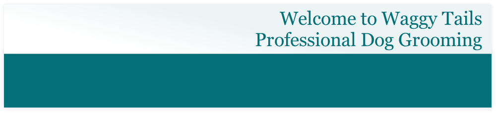 Welcome to Waggy Tails 
Professional Dog Grooming